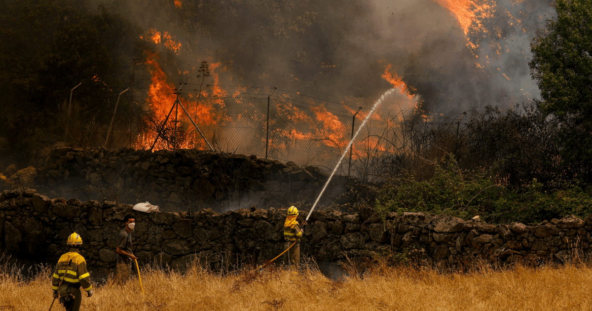 The Week in Review: Wildfires, religious freedom and pro-life developments